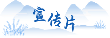 宣传片