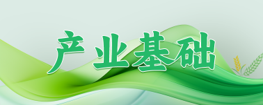 产业基础